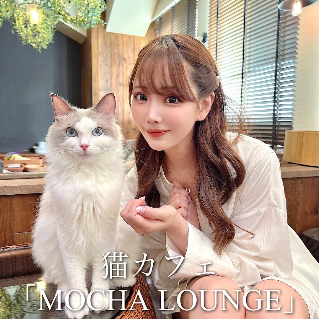 ねこカフェ「MOCHA LOUNGE」