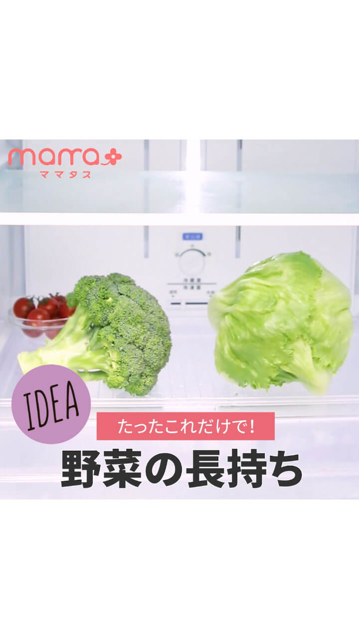 たったこれだけで！野菜長持ちテク