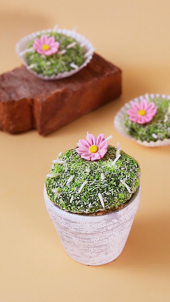 トゲトゲだけど痛くない！サボテン餅アイス