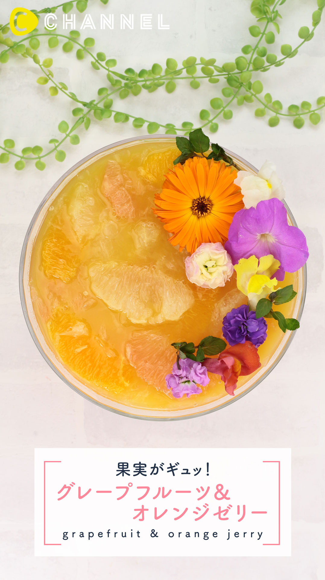 果実がギュッ！グレープフルーツ＆オレンジゼリー