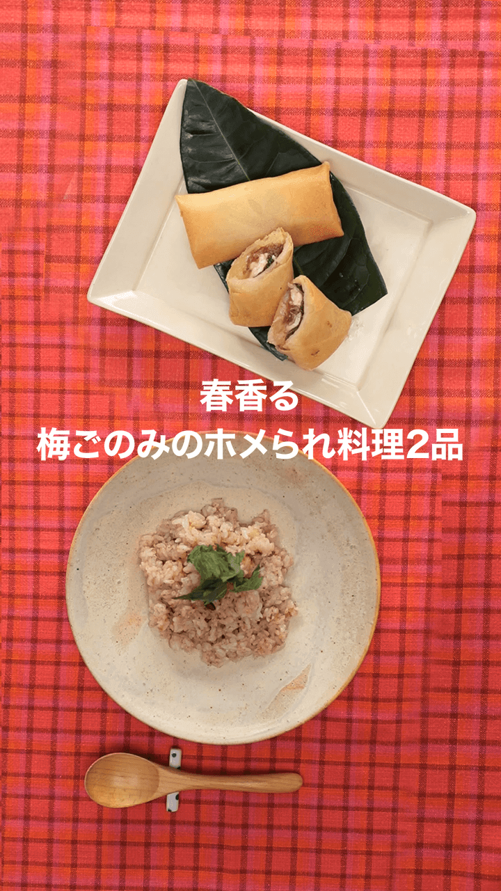 入れるだけでプロの味♡ 春香る 梅ごのみのホメられ料理2品