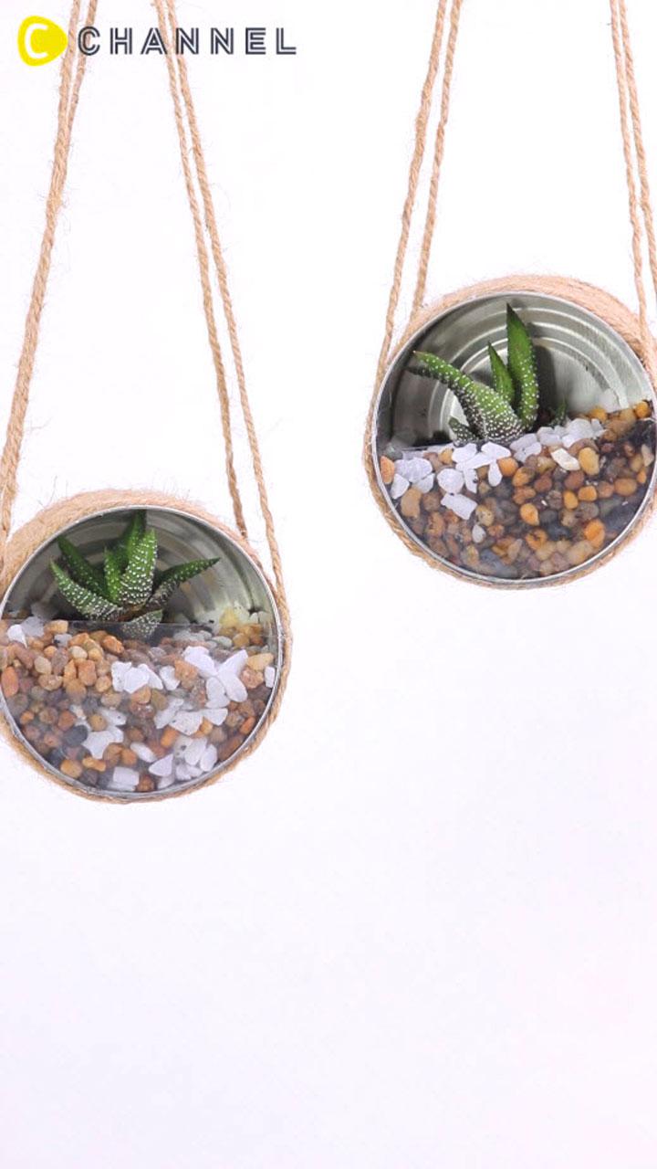 ปลูกต้นไม้ในกระป๋องนม