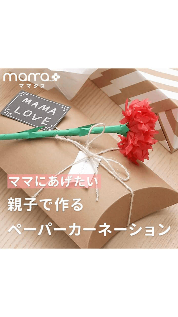 ママにあげたい 親子で作るペーパーカーネーション