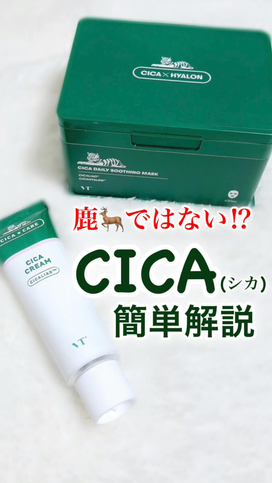 鹿ではない⁉︎韓国発「CICA(シカ)」ってそもそも何？簡単解説♡