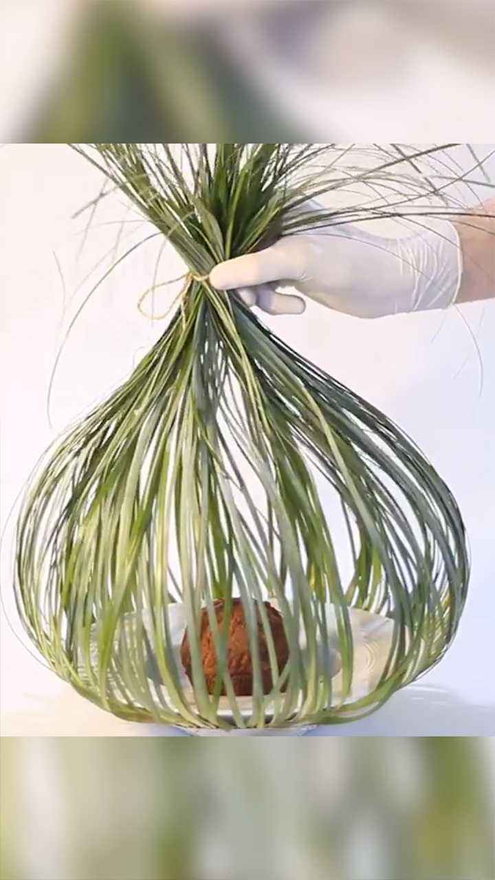 チョコアートスイーツが可愛すぎる！食べるのがもったいない！