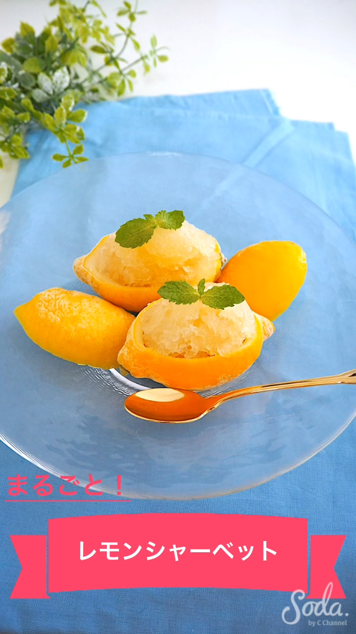 まるごとレモンシャーベット
