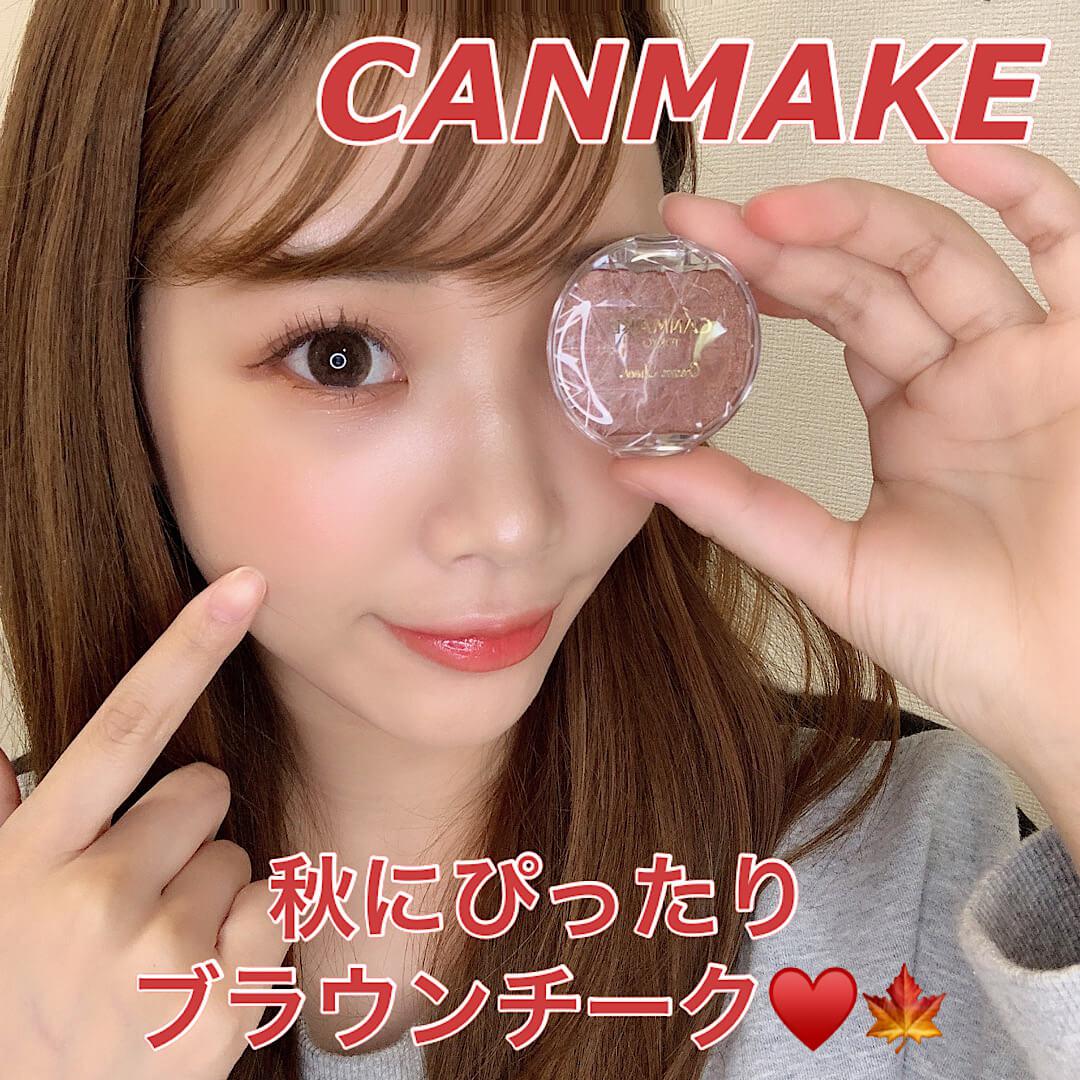 CANMAKE 秋にぴったりブラウンチーク♡