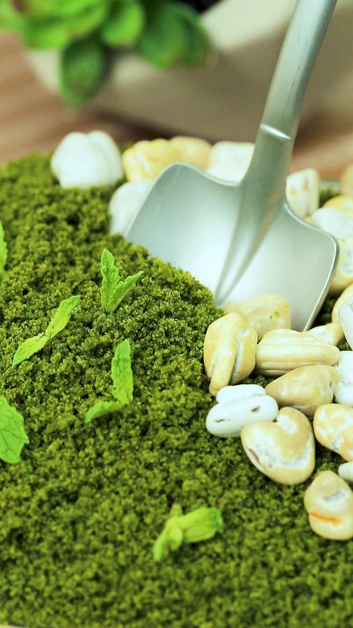 【まるで本物 ‼︎ 】庭園ティラミス