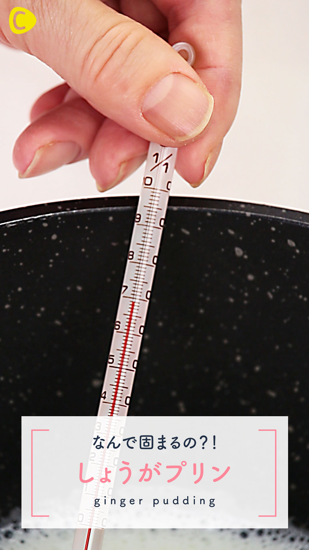 なんで固まるの？！しょうがプリン♡