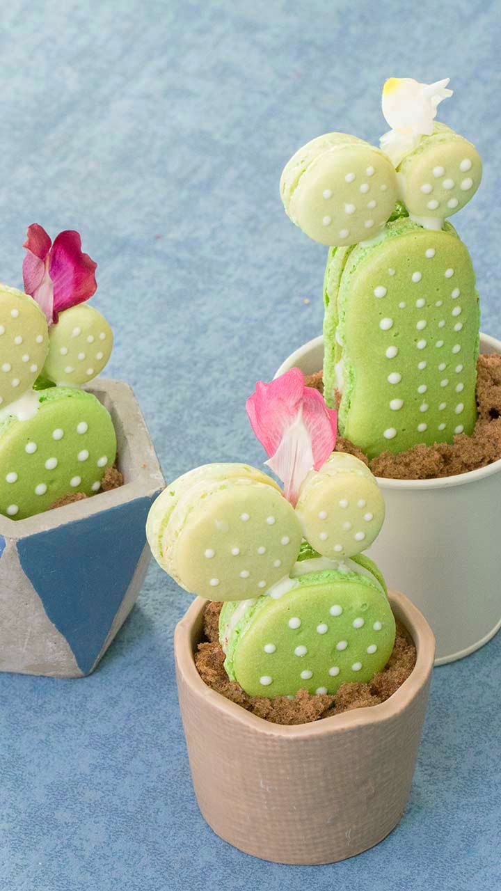 まるで本物♡サボテンマカロン