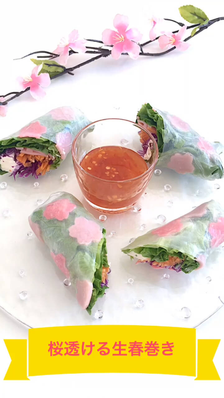 桜透ける生春巻き