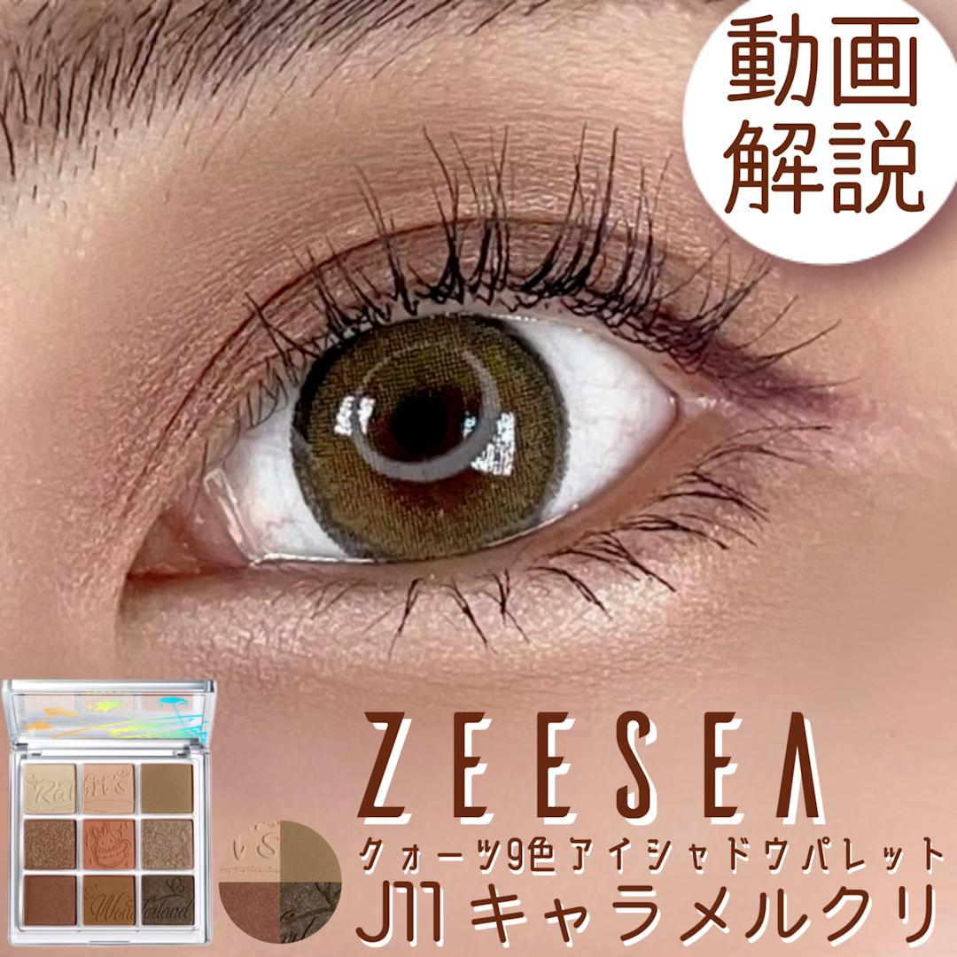 秋冬におすすめのズーシーの9色パレット♡