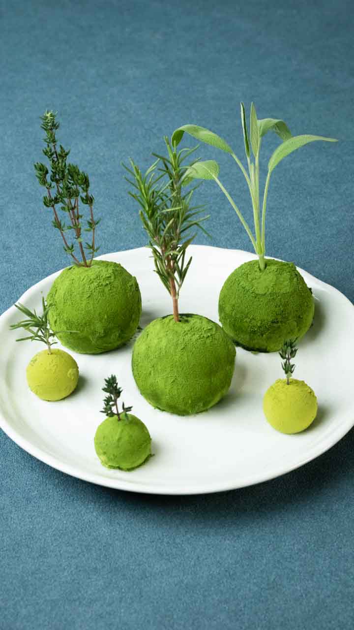 愛おしくなる可愛さ♡食べられる苔玉