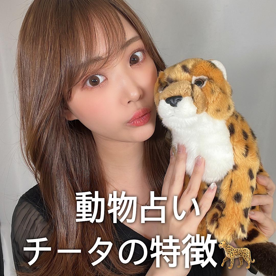動物占い♡チータの特徴について