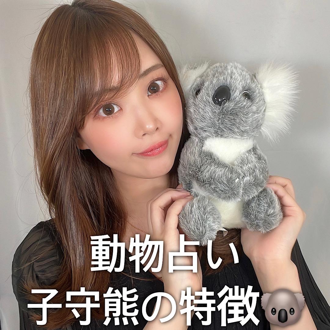 動物占い♡小守熊の特徴について