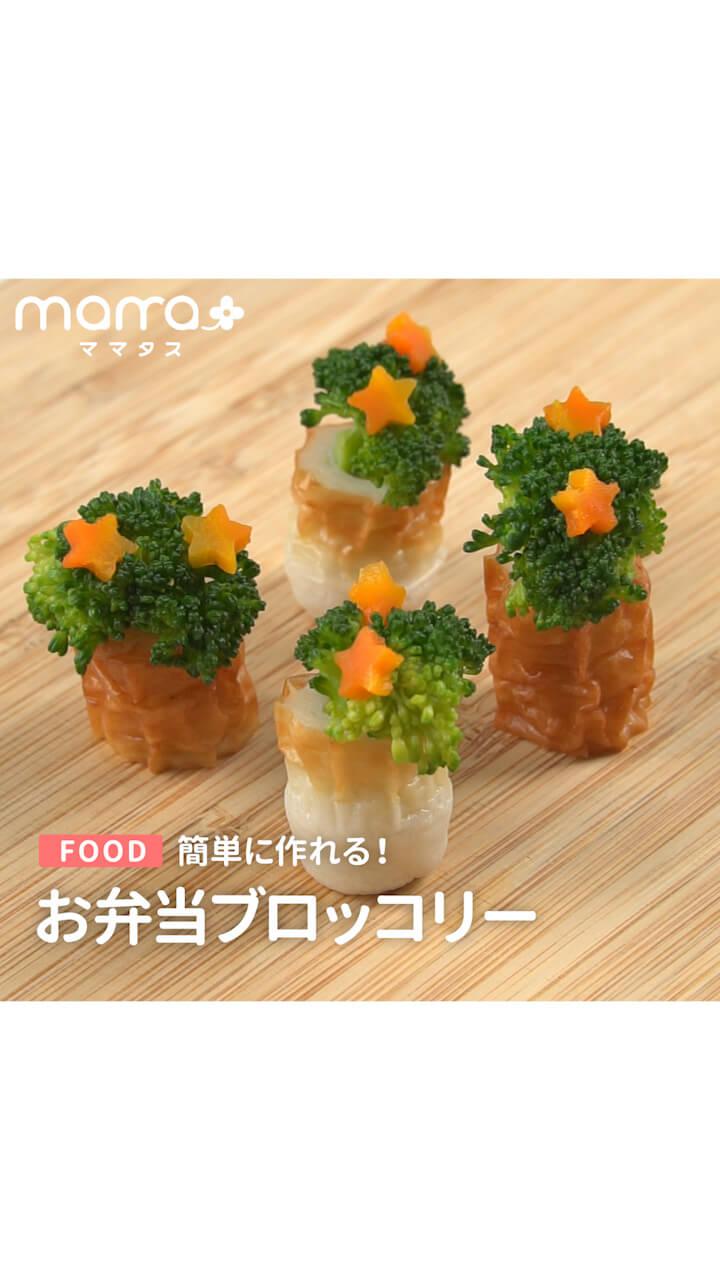 簡単に作れる！お弁当ブロッコリー