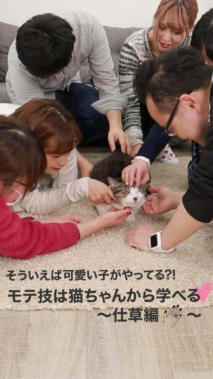 そういえば可愛い子がやってる？！モテ技は猫ちゃんから学べる♡〜仕草編〜