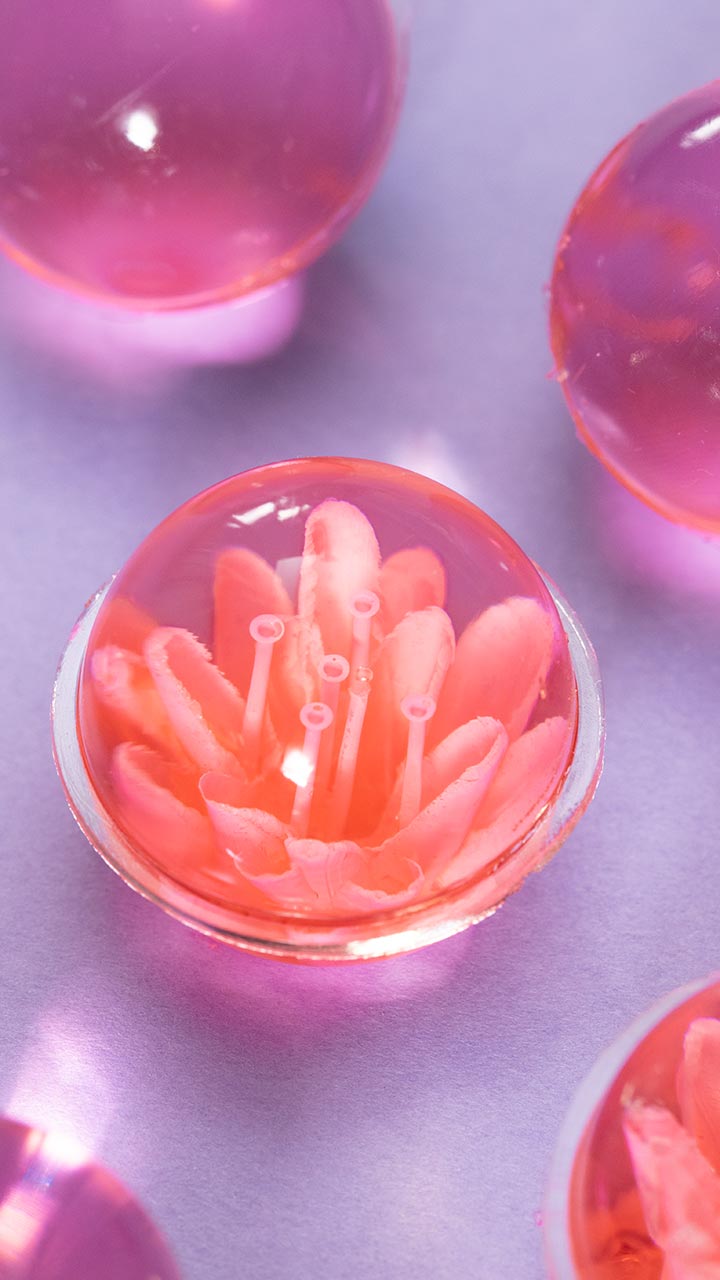 【食べられません♡】 ぷるるんジェリーソープ