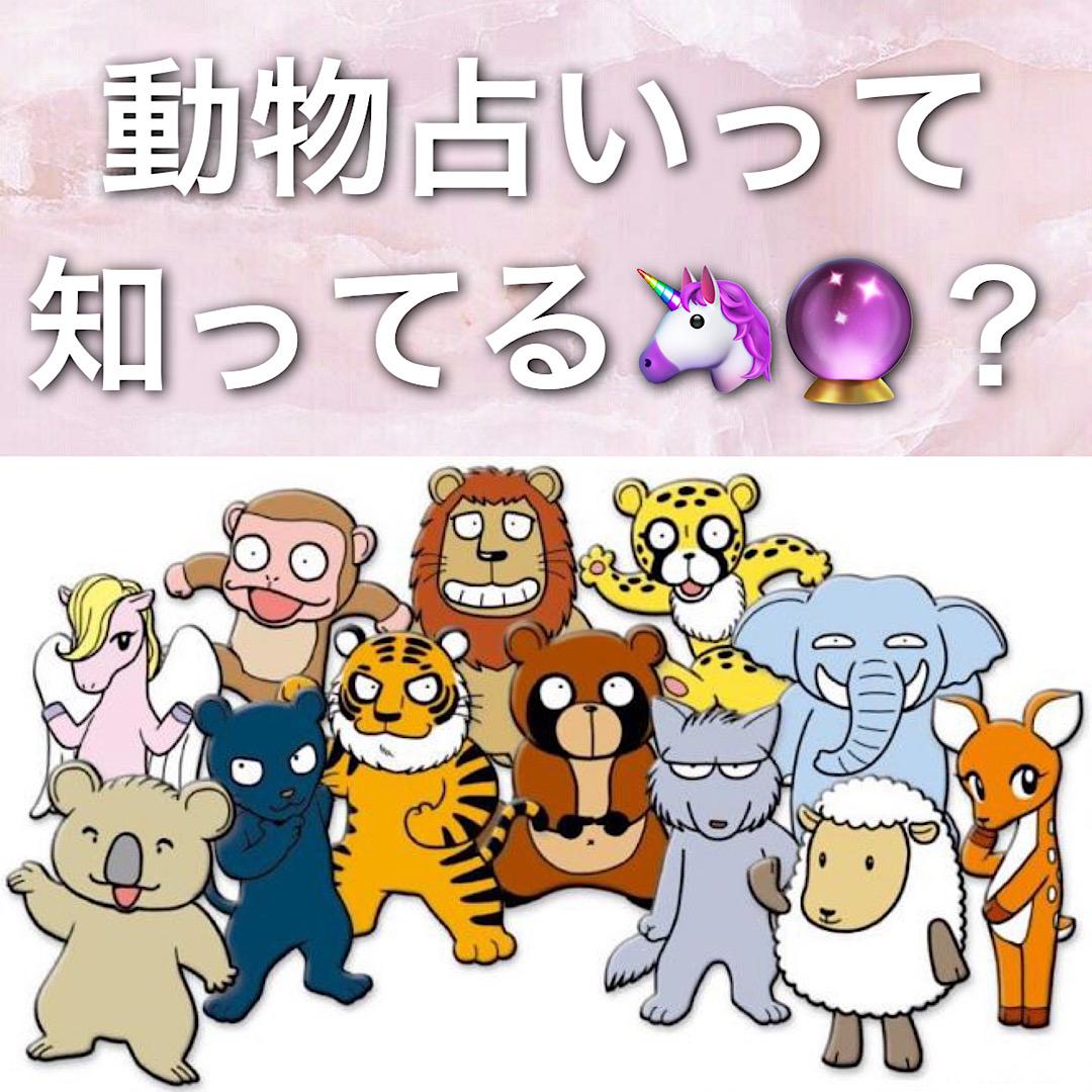 動物占いって知ってる？