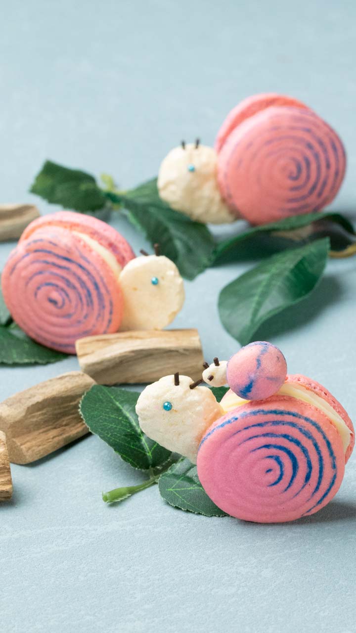 ぐるぐるカタツムリマカロン