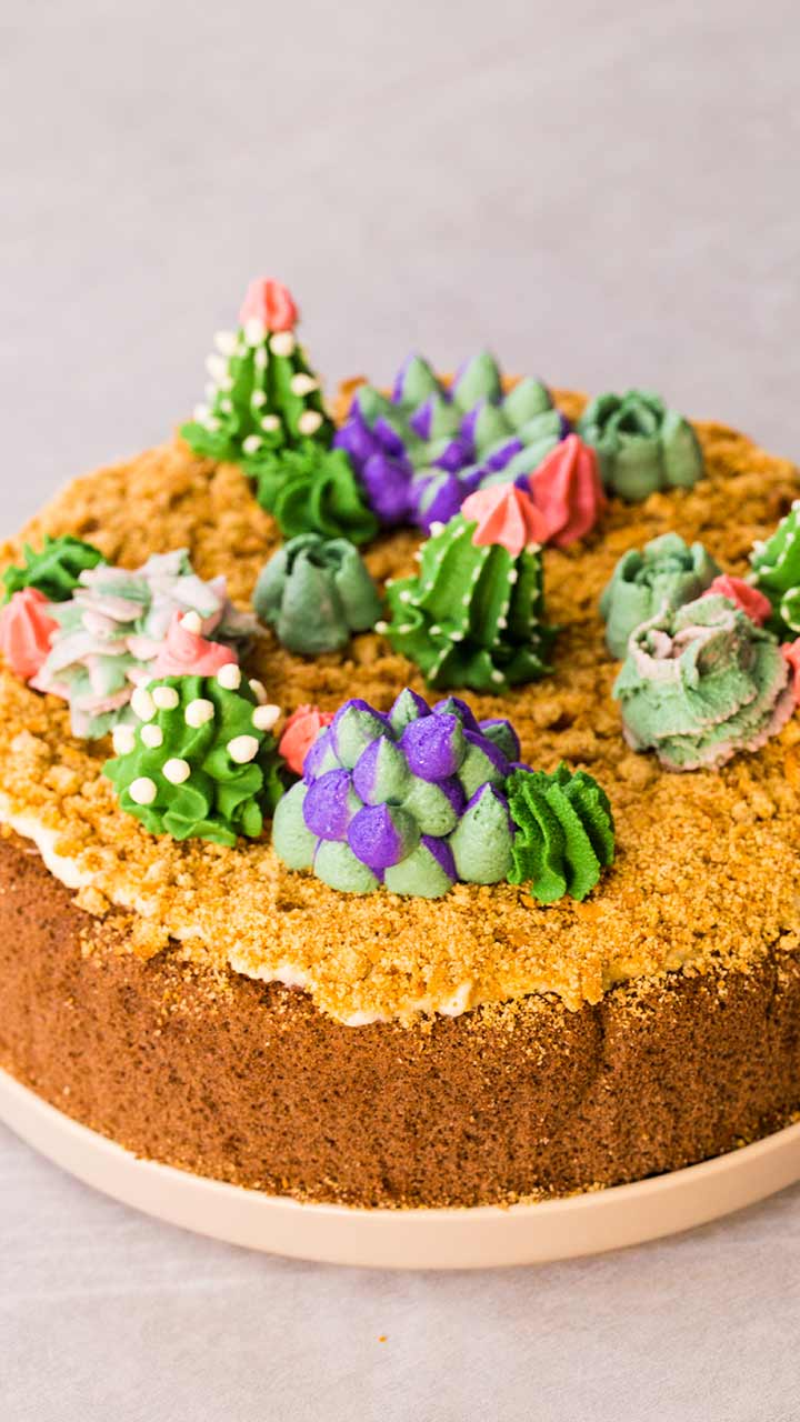 植物！？スイーツ！？多肉ケーキ