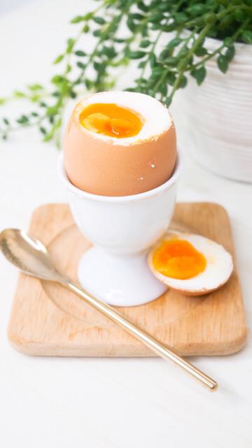 【時短】1cmの水でできる！半熟ゆで卵を作る方法