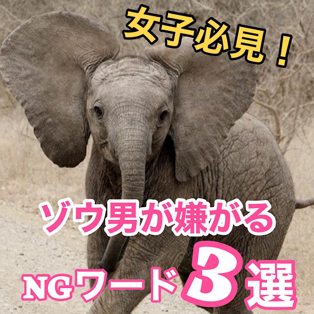 絶対ダメ！ゾウ男が嫌がるNGワード3選