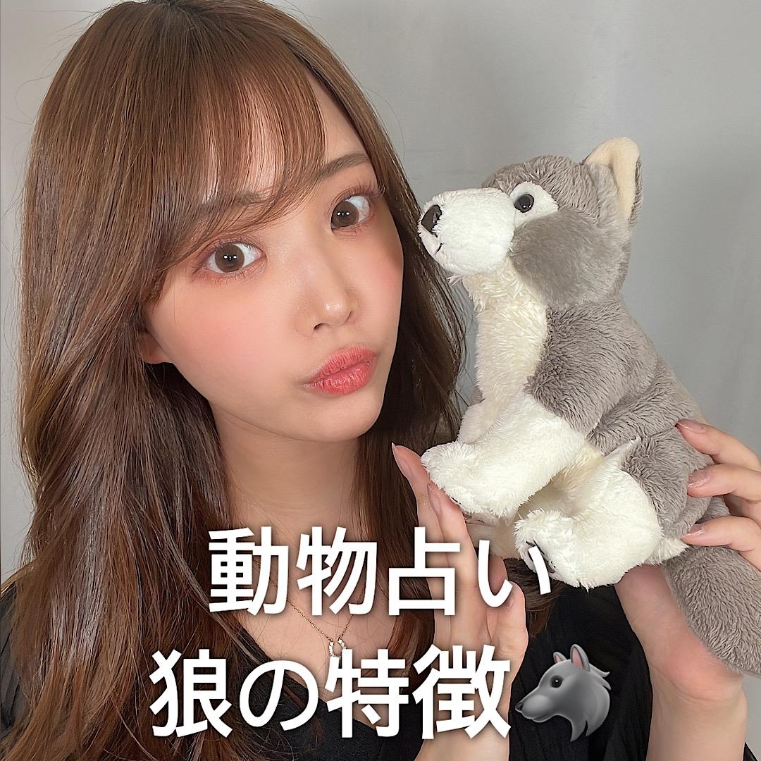 動物占い♡狼の特徴について