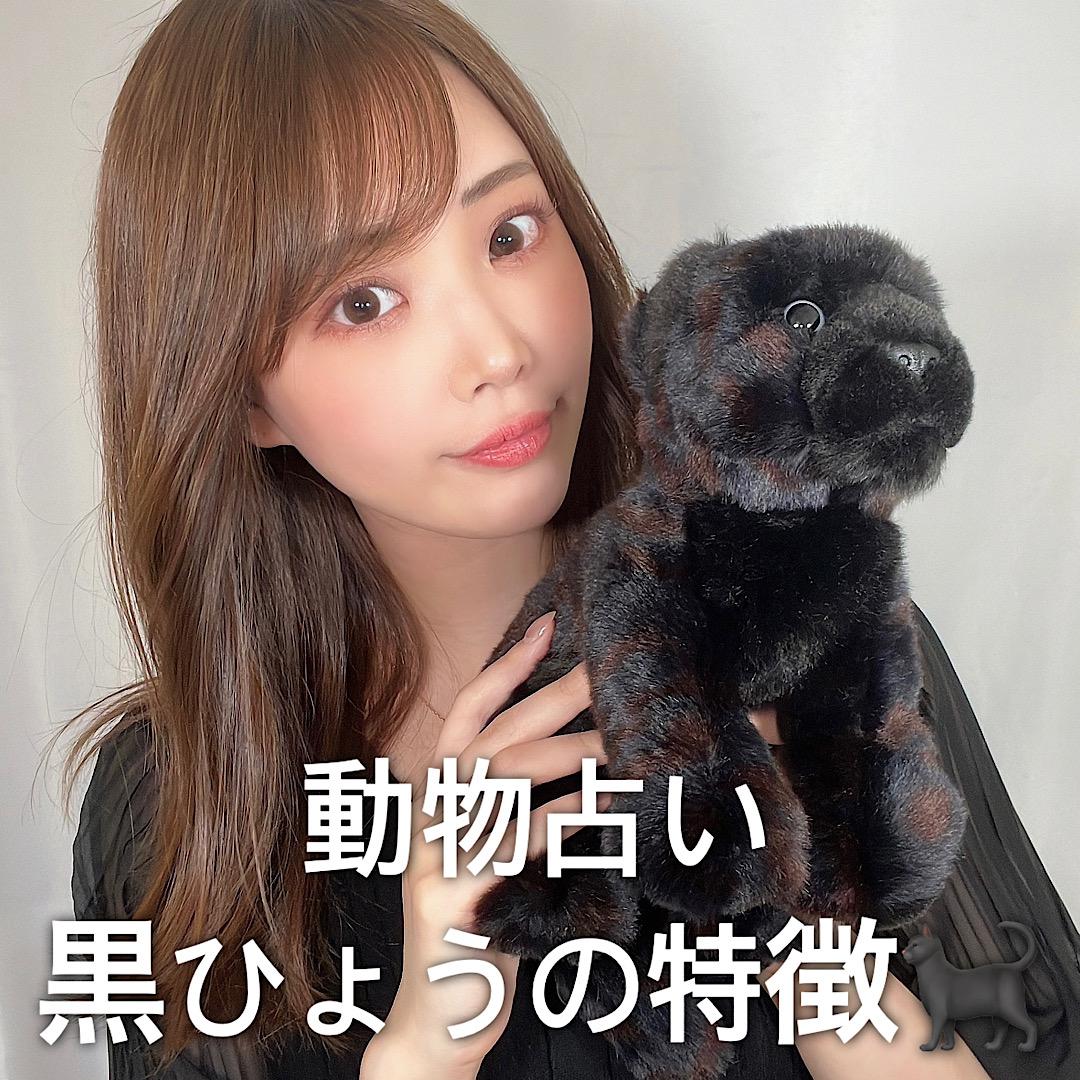 動物占い♡黒ひょうの特徴について