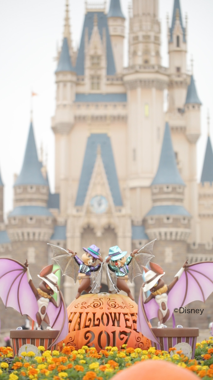 ディズニー・ハロウィーン決定版！！絶対食べたい季節限定グルメ♡