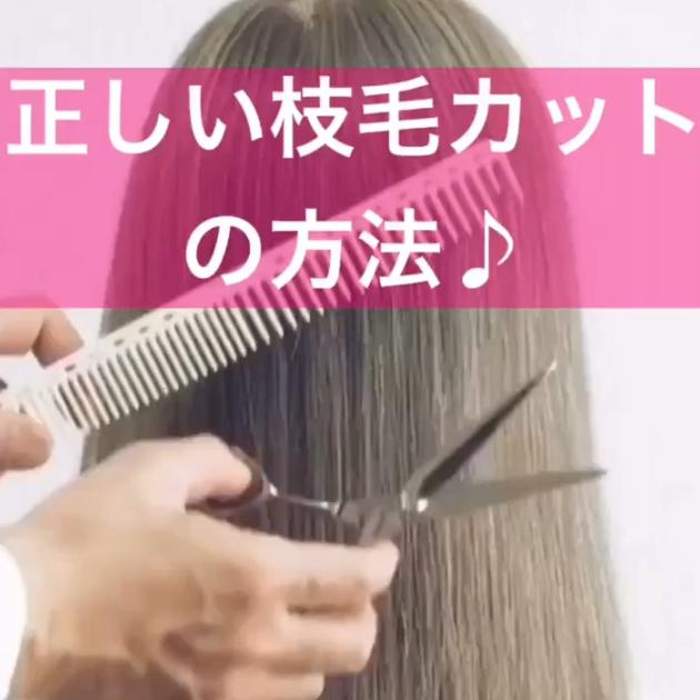 枝毛 切れ毛の正しいセルフカット方法 ダメージをケアしてツヤ髪に