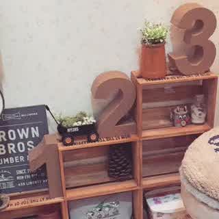 収納アイデアは100均で叶う！オール108円で賢くスッキリ